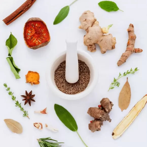 Fendi Logo Print Fabric Belt Men F0gxn Accessories Belts Classic