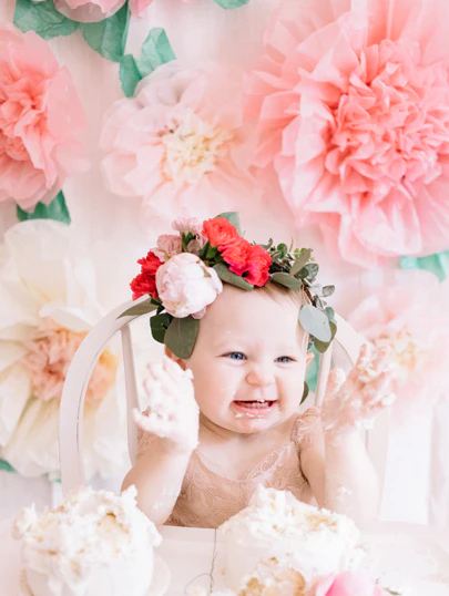 Forest mushrooms. Macadamia Nuts