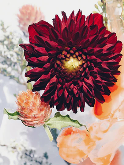 Local bread suppliers close to you