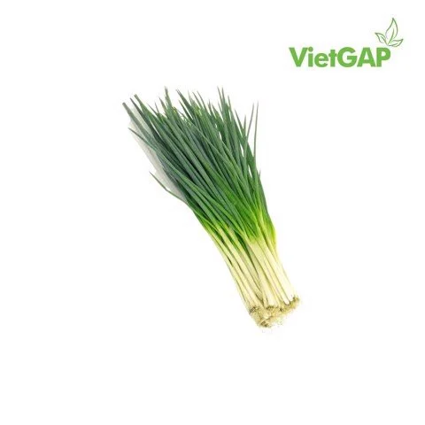 Hành lá VietGAP (0.1Kg)