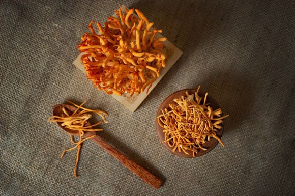 Cách sử dụng đông trùng hạ thảo khô