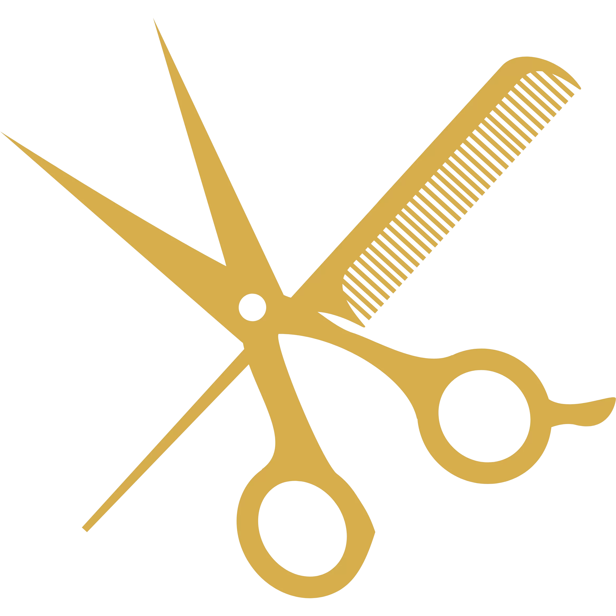 CLASSIC HAIR CUT