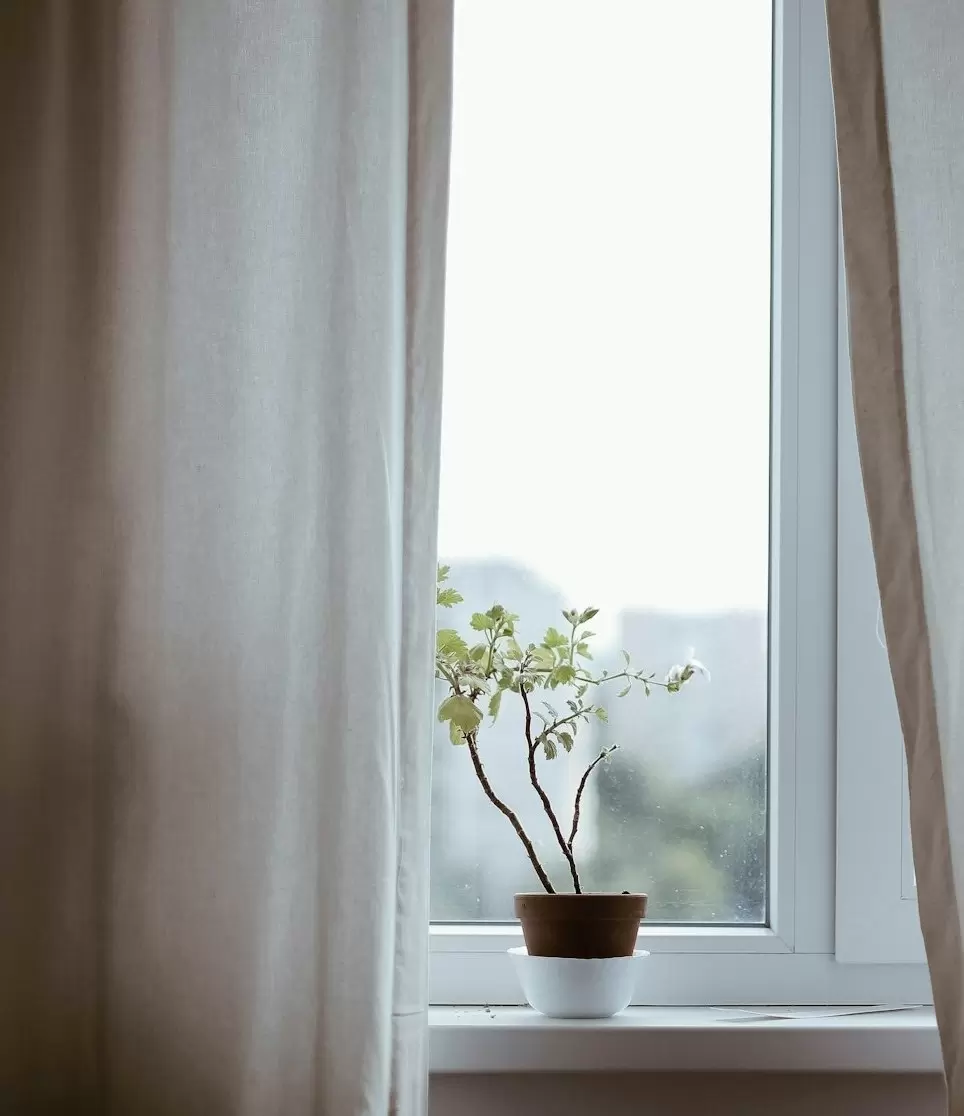 SẢN PHẨM DÀNH CHO BẠN