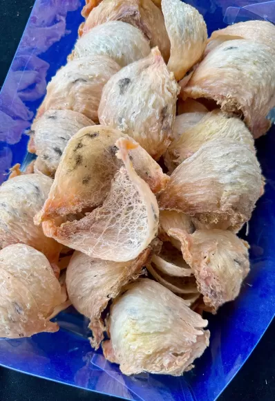 Bà bầu mấy tháng thì ăn được yến? dùng yến sào thế nào cho đúng?