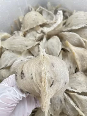 Yến Thô Sạch Ít Lông Già Yến Chuẩn Vị Biển