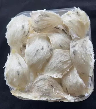 Yến Thô Sạch Ít Lông Già Yến Chuẩn Vị Biển