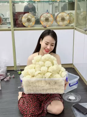 Yến Tinh Chế 1 Lớp Sợi – Loại 18–20 tai