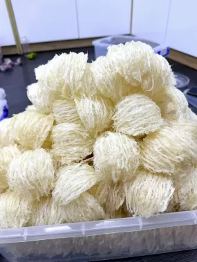 Yến Tinh Chế 1 Lớp Sợi – Loại 18–20 tai