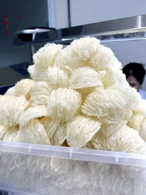Yến Tinh Chế 1 Lớp Sợi – Loại 18–20 tai