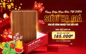 Thế giới sàn gỗ cao cấp
