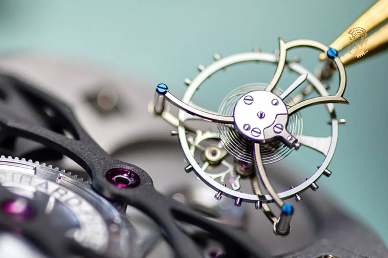 ĐỒNG HỒ DHVIETNAM