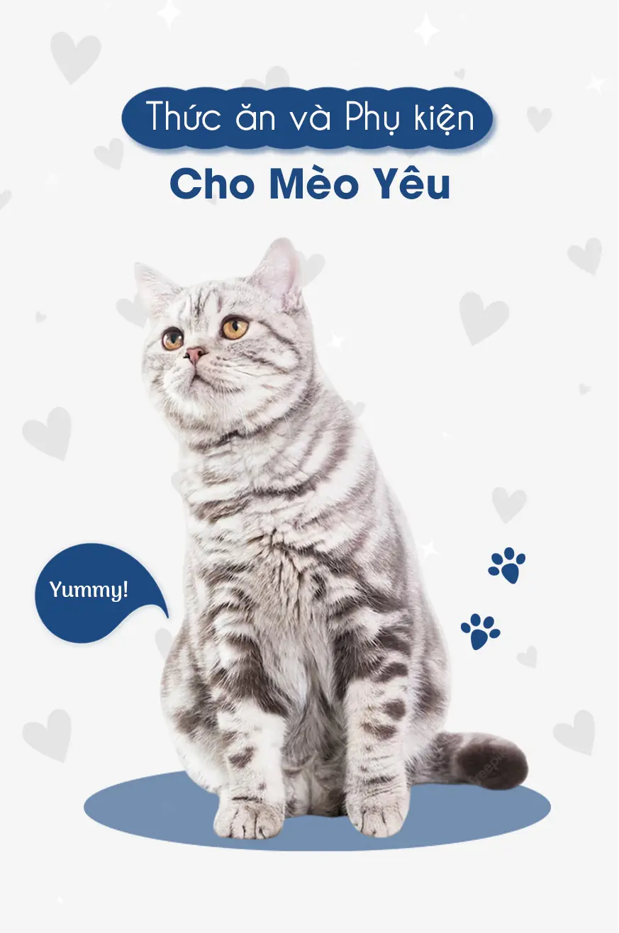SẢN PHẨM DÀNH CHO MÈO